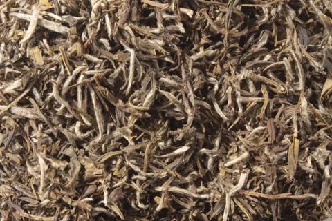 Making dried loose tea Stock Photos