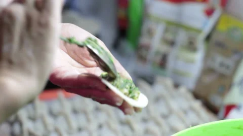 Making dumplings Stock Footage 32845356