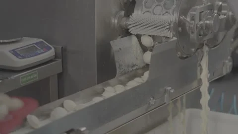Making dumplings in production, V-log Stock Footage 253868790