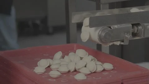 Making dumplings in production, V-log Stock Footage 253868800