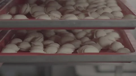 Making dumplings in production, V-log Stock Footage 253868839