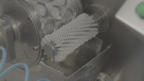 Making dumplings in production, V-log Stock Footage 253868935