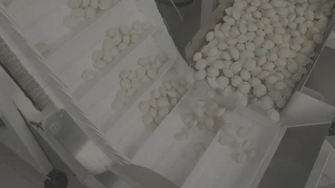 Making dumplings, V-log Stock Footage 253869041