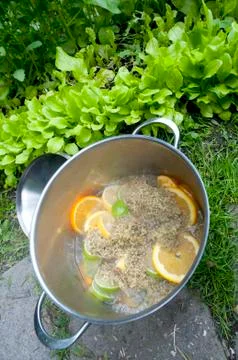 Making elderflower juice Foto stock