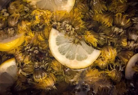 Making elderflower lemonade Stock Photos