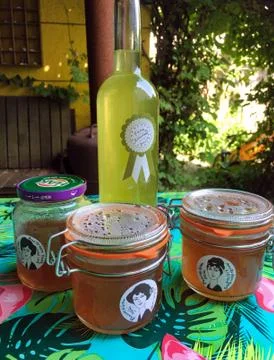 Making elderflower lemonade Stock Photos