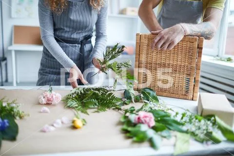 Making fern bunch Stock Photos