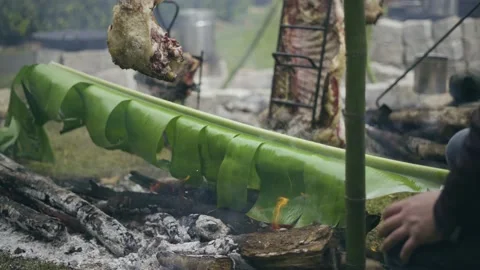 Making Fire at Barbecue Stock Footage 142771033