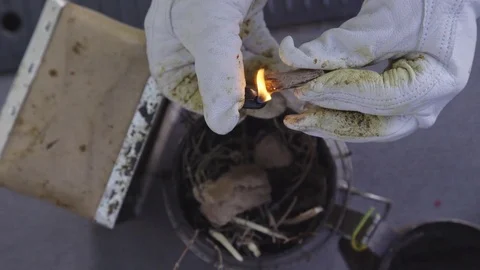 Making fire Stock Footage 84766613