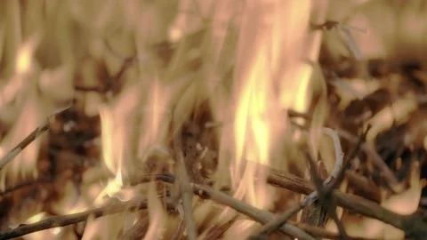 Making a fire in the forest. Making a fire, gorenje process. Background of n Video stock 196994563