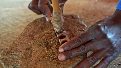 Making a fire by hand using traditional methods Stock Footage 311923218