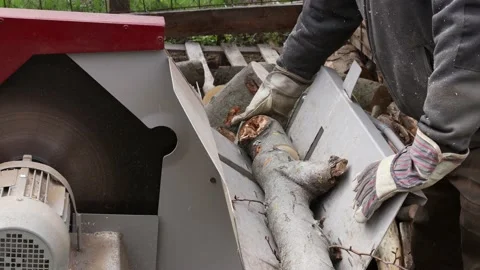 Making of firewood with a saw Stock Footage 152406010