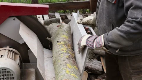Making of firewood with a saw Stock-Footage 152407013