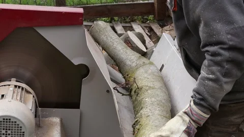 Making of firewood with a saw Stock-Footage 152407215