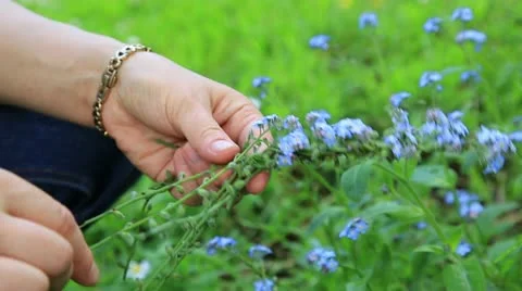 Making a floral wreath Stock Footage 12354944