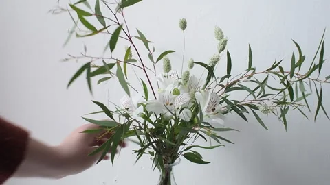 Making a flower arrangement Stock Footage 168330065