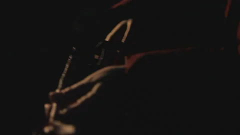 Making a flower arrangement at night Stock Footage 168329921