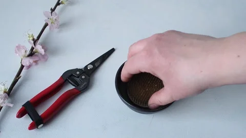 Making flower arrangement using flower frog Stock Footage 168330882