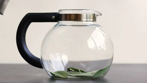 Making fresh sage tea Stock Footage 70919309