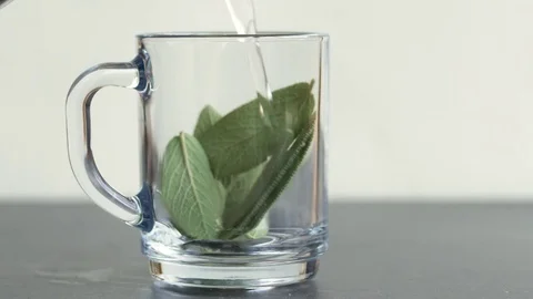 Making fresh sage tea Stock Footage 70919399