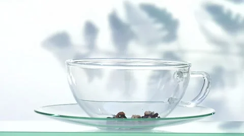 Making fruit tea: pouring hot water onto loose tea Stock Footage 8570497