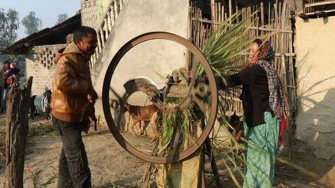 Making Goat Feed in Nepal Видео 73422950