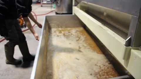 Making Grape Juice Video stock 25939184