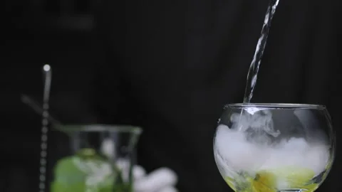 Making Grape Martini Cocktail Stock Footage 131491445