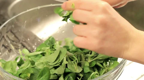 Making green salad Video stock 33743293