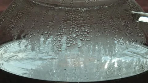 Making Green Tea Vidéo 11518965