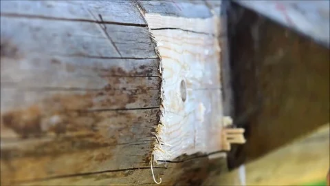 Making a groove in the beam for fixing the lag, to which the floor is planned Stock Footage 77364648