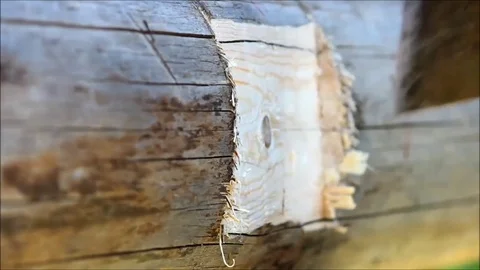 Making a groove in the beam for fixing the lag, to which the floor is planned Stock Footage 77427388