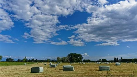 Making hay while the sun shines Stock Photos
