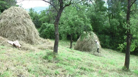 Making haystacks Stock Footage 24849113
