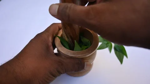 Making Herbal Medicine of Andrographis paniculata leaves. Stockbeeldmateriaal 289221618
