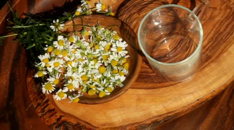 Making herbal tea Stock Footage 792071