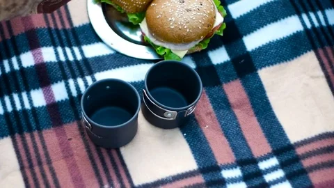 Making herbal tea at picnic weekend with sandwich Stock Footage 81768021