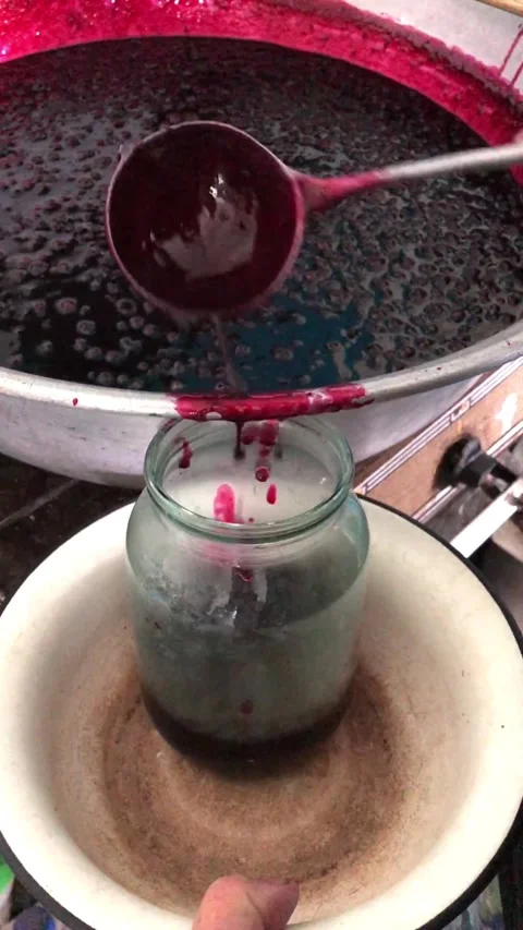 Making homemade currant jam. Stock-Footage 341683072