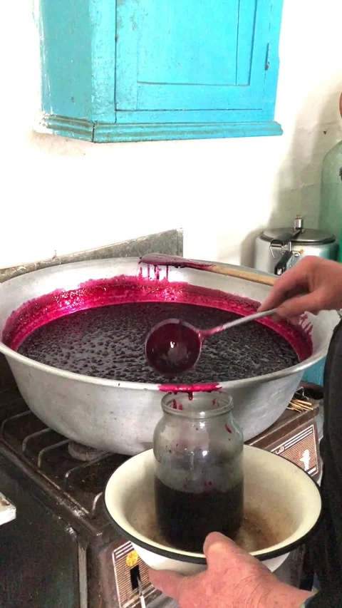 Making homemade currant jam. Rural life, village life. Stock-Footage 341683056