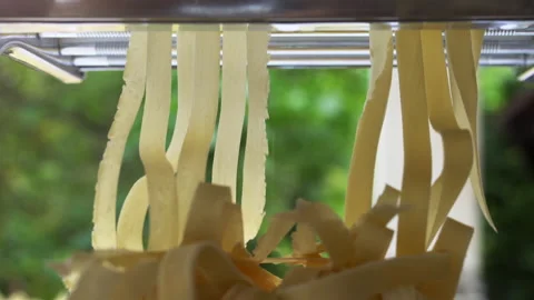 Making homemade noodles with rolling machine from special dough Stock Footage 136561036