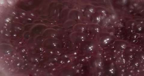 Making homemade wine. Stock Footage 162493888