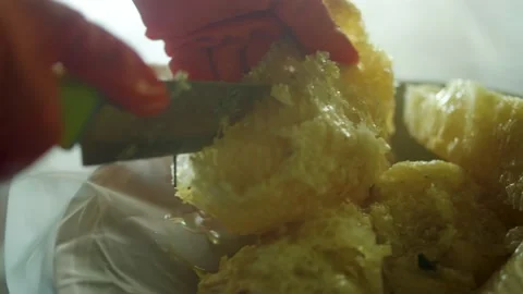 Making honey Stock Footage 205470813