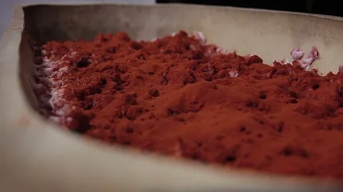 Making of hungarian sausage, spicing raw meat with paprika, pepper Stock Footage 70397751