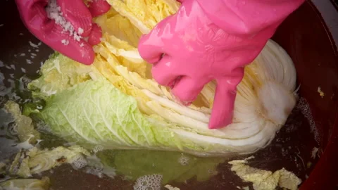 Making Kimchi view of preserve in salt Stock Footage 162631659
