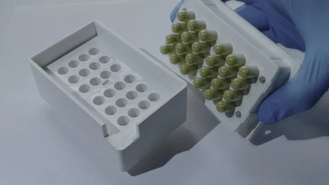Making Kratom Capsules Stock Footage 87966291