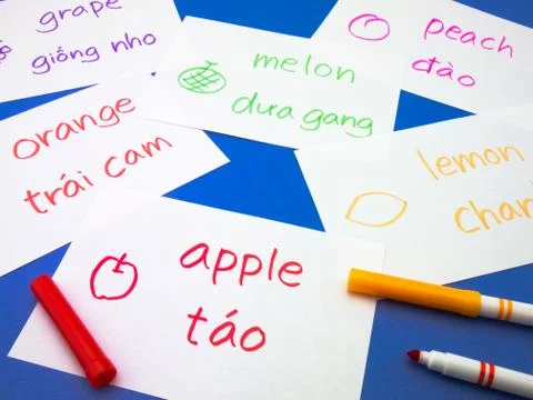 Making Language Flash Cards; Vietnamese Stock Photos