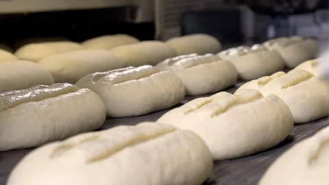 Making a loaf of bread in the bakery. Loaf of bread on the production line in Stock Footage 105619065