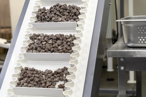 Making machine of chocolate sweets. Chocolate factory. Sweets production process Stock Photos
