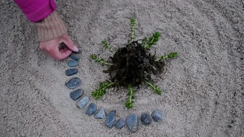 Making a mandala of natural elements on a beach with kids Stock Footage 136197284