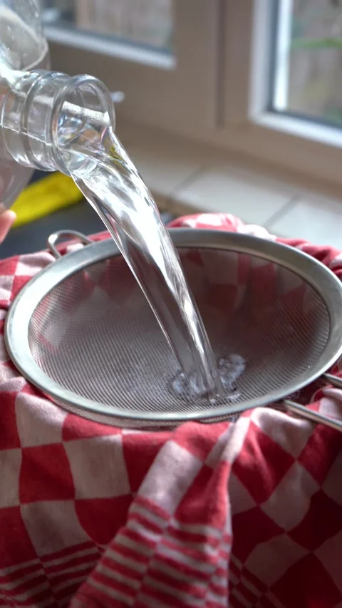 Making Maple and Birch syrup. Tapping Birch and Maple Trees. Stock Footage 283635821